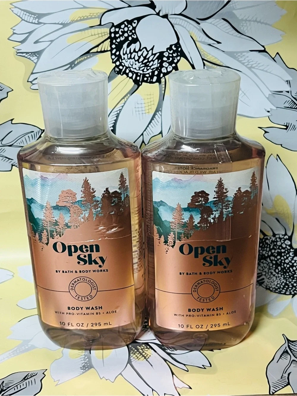 2 Bath & Body Works Open Sky Body Wash —